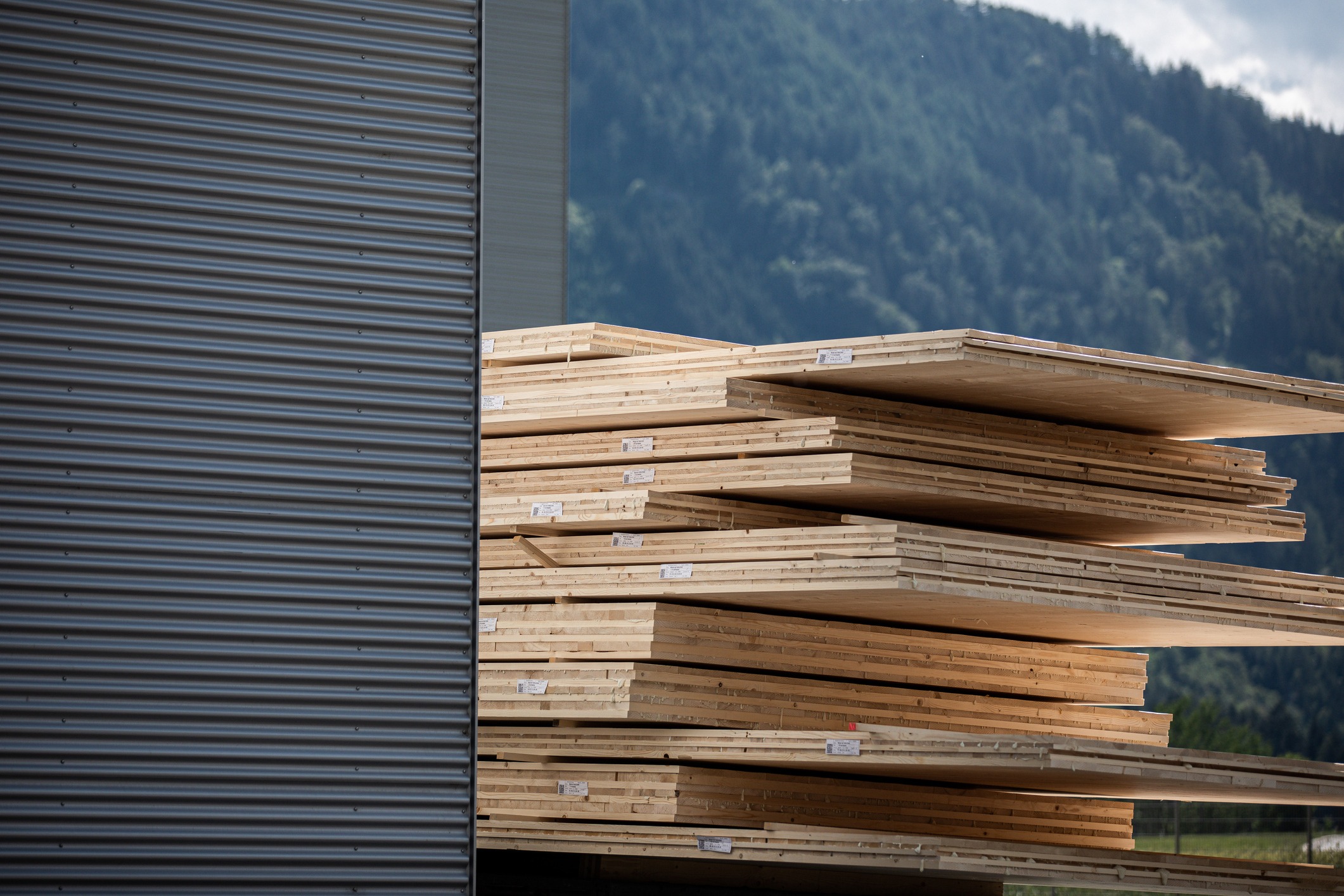 WHAT IS MASS TIMBER?